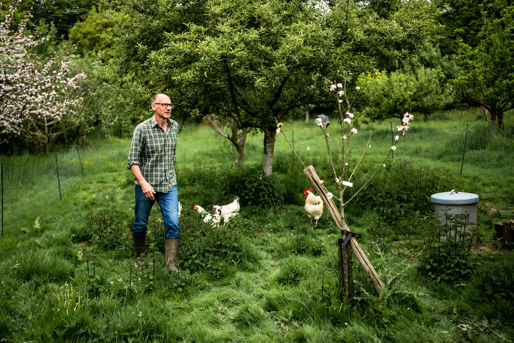 Phil, a tall bald white man striding through his green chicken run at the Bignose & Beardy Orchard in East Sussex