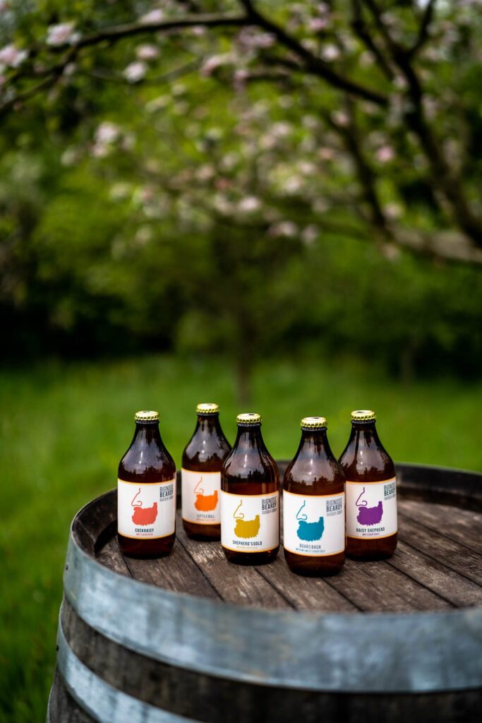 A selection of Bignose & Beardy cider bottles displayed in rainbow order on the top of an old wooden barrel in a green orchard with blossoming trees.