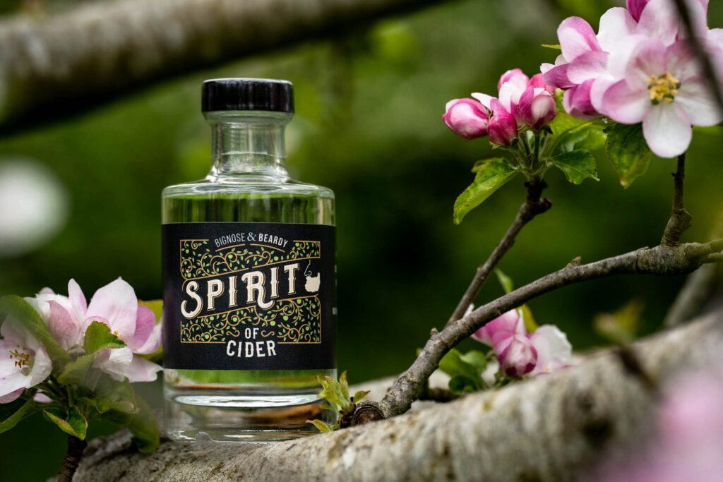 A bottle of Bignose & Beardy Spirit Of Cider sitting on a branch in the green orchard where the apples grew, surrounded by pink blossom readying for the next harvest