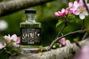 A bottle of Bignose & Beardy Spirit Of Cider sitting on a branch in the green orchard where the apples grew, surrounded by pink blossom readying for the next harvest