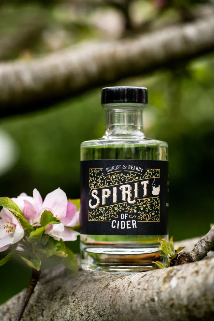 A bottle of Spirit of Cider sitting on a branch in the orchard where it was made.