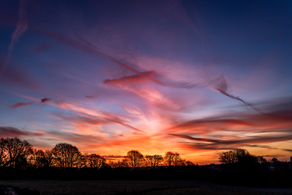A vivid orange, pink and purple sunrise sky streaked with cloud above a silhouetted line of trees in East Sussex.