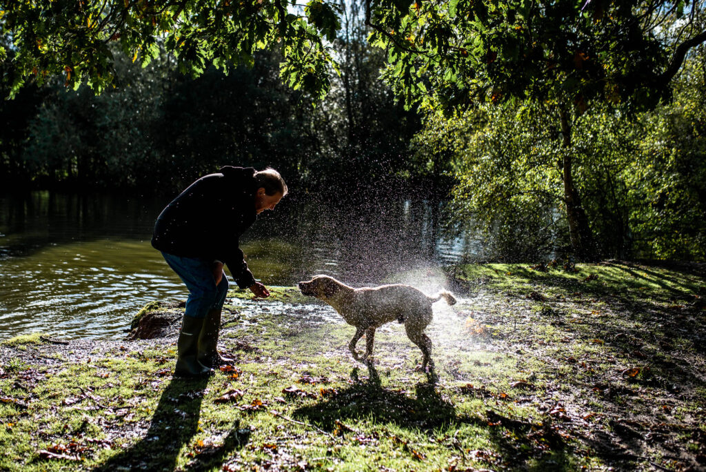 A grey-haired man in a dark hoodie and wellies bends down to a Labrador shaking off pond water, droplets sparkling in the sunlight