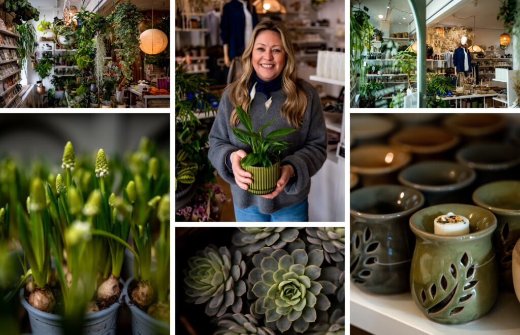 A collage of six spring photos from From Victoria in Lewes: a white woman with long blonde hair smiling and holding a potted plant in her shop, shelves of trailing house plants, grape hyacinth bulbs in pots, soft green succulents, green ceramic wax burners and a dried flower display.